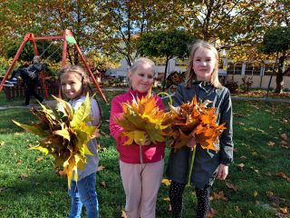 20231030_101153_resized